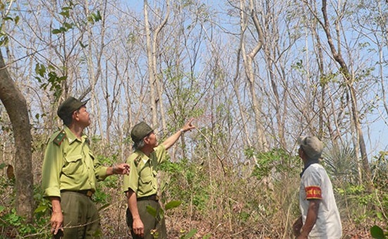 Khánh Hòa: Tăng cường phòng chống cháy rừng tại huyện Khánh Vĩnh