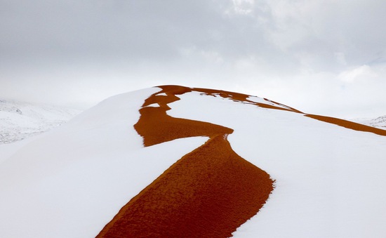 Sa mạc Sahara chìm sâu trong tuyết trắng: Bạn có tin được không?