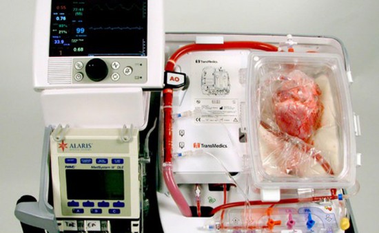 Trung Quốc: Hãng hàng không giúp vận chuyển tim hiến tặng để kịp cấy ghép