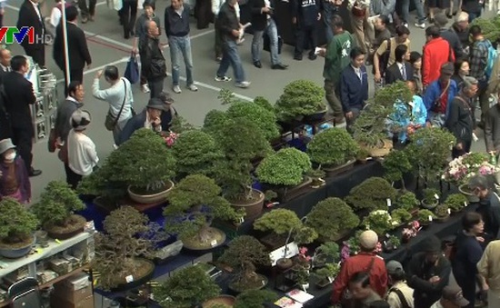 Hội chợ cây cảnh bonsai thế giới