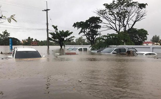 Kiều bào tại Thái Lan thiệt hại nặng nề do lũ lụt