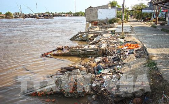 Cá chết ở Đầm Dơi, Cà Mau: Do nguồn nước bị ô nhiễm