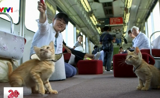 Chuyến tàu cà phê mèo đầu tiên tại Nhật Bản