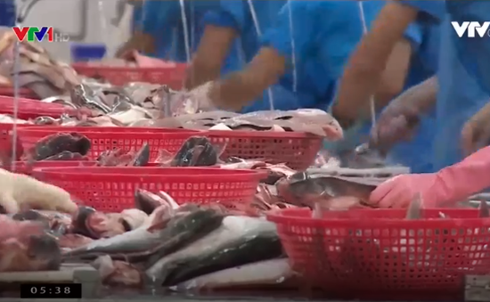 Xuất khẩu da cá tra sang Singapore