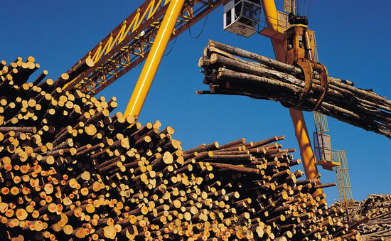 Canada chính thức kháng cáo thuế chống bán phá giá gỗ của Mỹ