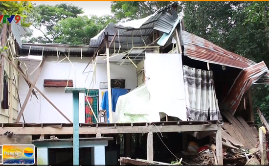 Mưa lớn khiến cây đổ đè sập nhà dân tại Đồng Tháp