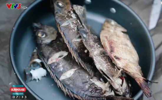Thưởng thức cá giò nướng muối ớt - đặc sản khó quên của Đà Nẵng