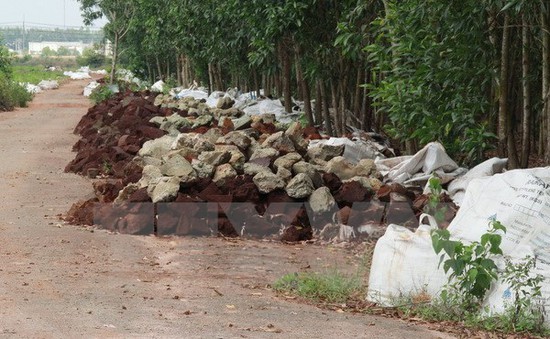 Điều tra vụ đổ hàng ngàn bao chất thải giữa rừng tràm Đồng Nai