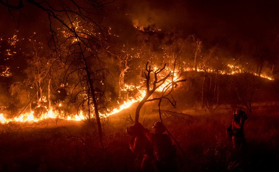 Mỹ ban bố tình trạng khẩn cấp do cháy rừng tại California