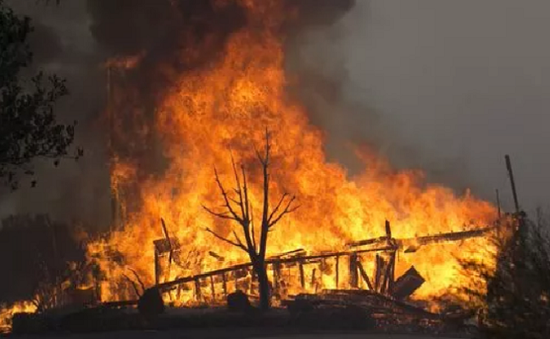 Mỹ: 26 người thiệt mạng trong vụ cháy rừng tại California