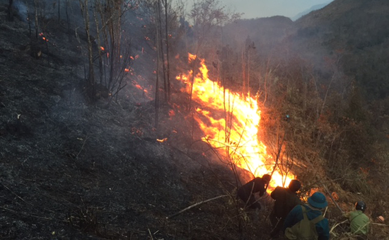 Hà Nội triển khai nhiều biện pháp phòng chống cháy rừng
