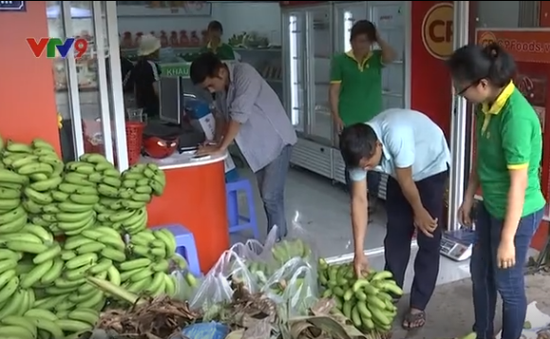Đẩy mạnh tiêu thụ chuối tồn đọng cho nông dân Đồng Nai tại các siêu thị
