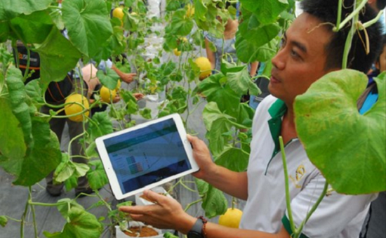 Tăng cường ứng dụng công nghệ cao vào sản xuất nông nghiệp