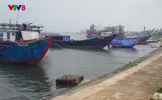 Bất cập bến neo đậu tàu thuyền ở Quảng Trị