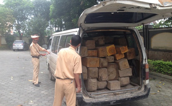 Lâm Đồng: Phát hiện và bắt giữ hai xe chở gỗ lậu trong đêm
