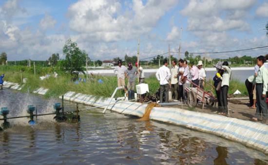 Kiên Giang: Sản lượng thủy sản đánh bắt tăng cao