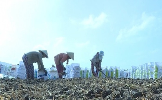 Vĩnh Long: Rầm rộ tình trạng bán đất mặt ruộng