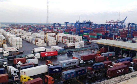 TP.HCM thí điểm mô hình thông quan nhanh tại cảng Cát Lái