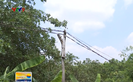 Bức xúc đường điện tạm câu vào xóm nghèo Bình Phước