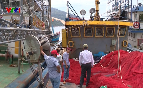 Vụ tàu cá vỏ thép mới đóng đã hỏng: Tạm dừng hợp đồng mới với 2 doanh nghiệp