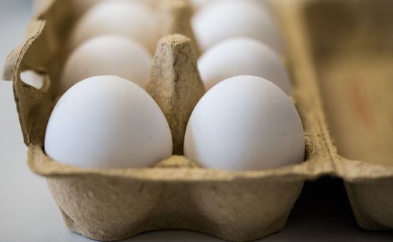 Hà Lan: 2 đối tượng liên quan đến vụ trứng "bẩn" hầu tòa