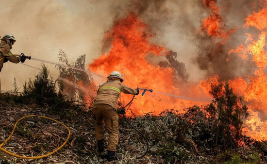 Thảm họa cháy rừng ở Bồ Đào Nha, 62 người thiệt mạng