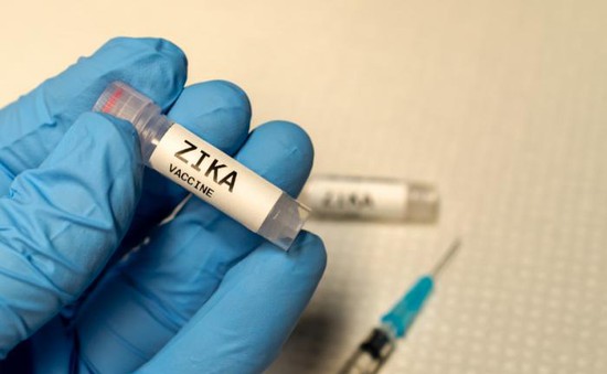 Mỹ: Thử nghiệm lâm sàng vaccine Zika giai đoạn 2 trên người