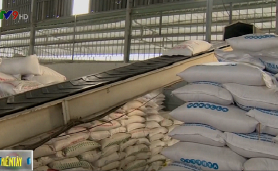 Xuất khẩu gạo tăng trưởng với những điểm sáng
