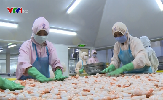 EU cảnh báo rút thẻ vàng với hải sản Việt Nam