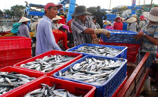 Hải sản Việt Nam có nguy cơ bị loại khỏi EU