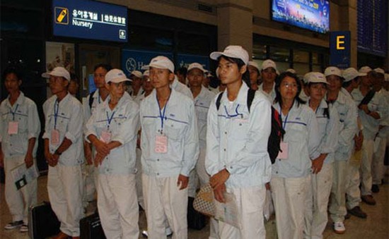 Cảnh giác lừa đảo hỗ trợ thi tiếng Hàn Quốc để đi xuất khẩu lao động