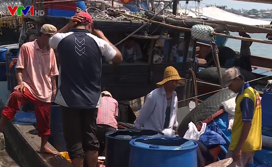Thừa Thiên - Huế phát triển hậu cần nghề cá