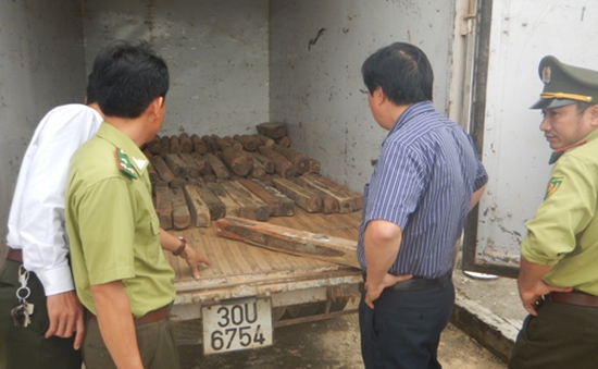 Quảng Bình: Bắt giữ 100 khúc gỗ hương giáng "trừ tà"