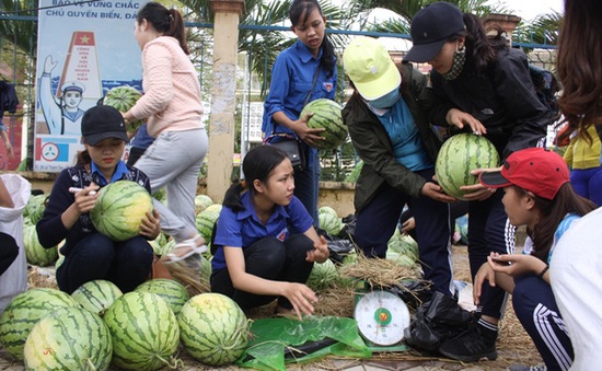 Thanh niên Quảng Ngãi giúp nông dân bán dưa hấu