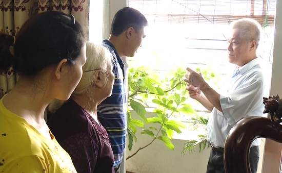 Hà Nội: Lập tổ tình nguyện hướng dẫn người dân phòng sốt xuất huyết