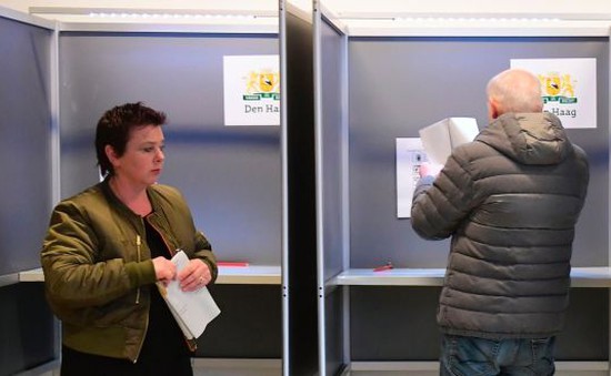 Bầu cử Quốc hội Hà Lan: Mối quan tâm nào quyết định lá phiếu cử tri?
