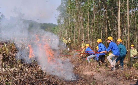 Quảng Nam tăng cường phòng chống cháy rừng