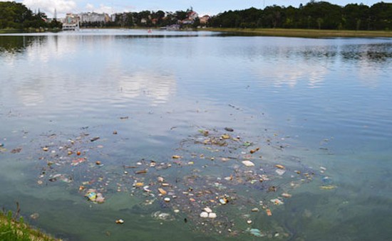 Ô nhiễm hồ Xuân Hương (Đà Lạt) ngày càng nghiêm trọng
