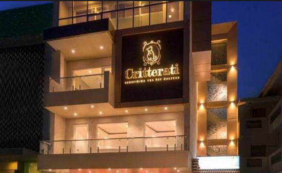 Khách sạn cao cấp đầu tiên dành cho chó ở Ấn Độ