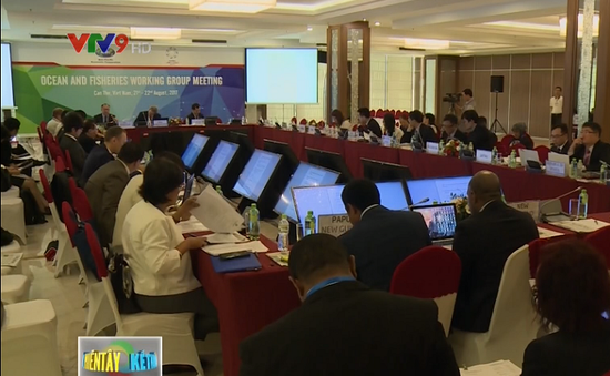 Các nhóm công tác APEC lần đầu tiên tiến hành họp chung