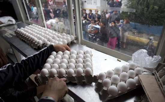 700.000 quả trứng nhiễm chất độc được nhập khẩu vào Anh