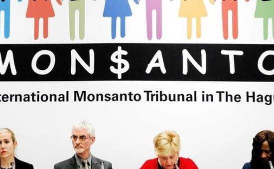 Phiên tòa giả tưởng kết tội Tập đoàn hóa chất Monsanto