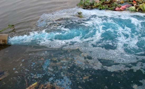Nhiều doanh nghiệp tại Cà Mau gây ô nhiễm môi trường