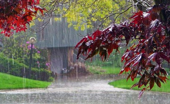 Chiêm ngưỡng vẻ đẹp quyến rũ của mưa Đà Lạt