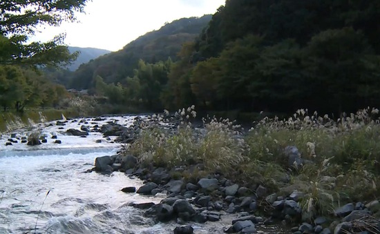 Nhật Bản: "Nước mùa xuân" từ các dãy núi lửa tỉnh Shizuoka