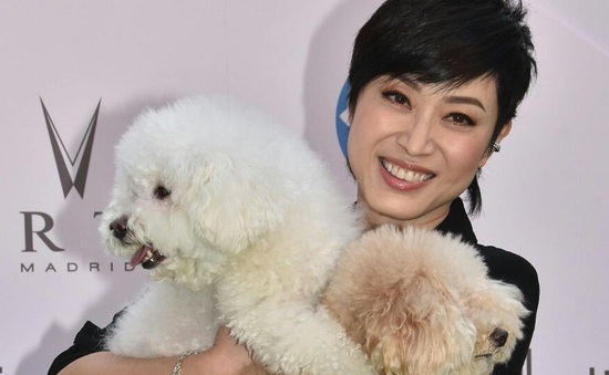 Bầu bạn với cún, Hoa hậu Hong Kong Trần Pháp Dung không sợ cô đơn