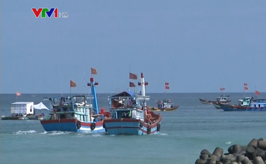 Ngư dân Quảng Ngãi quyết tâm bám biển, bám ngư trường
