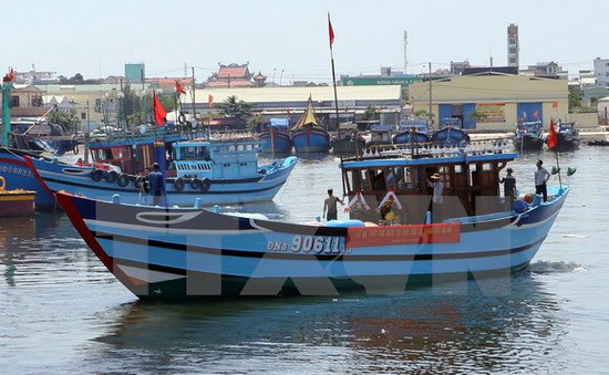 Hàng nghìn ngư dân miền Trung đón Tết trên biển