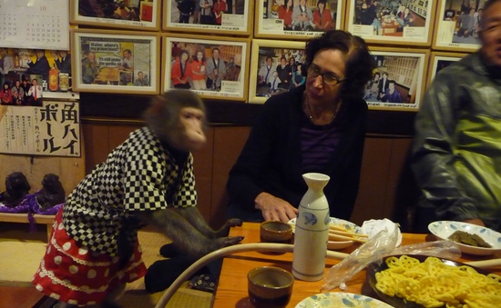 Độc đáo khỉ làm phục vụ ở nhà hàng Nhật Bản