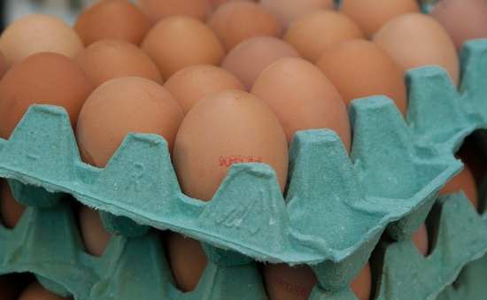 Phát hiện trứng “bẩn” tại 40 quốc gia